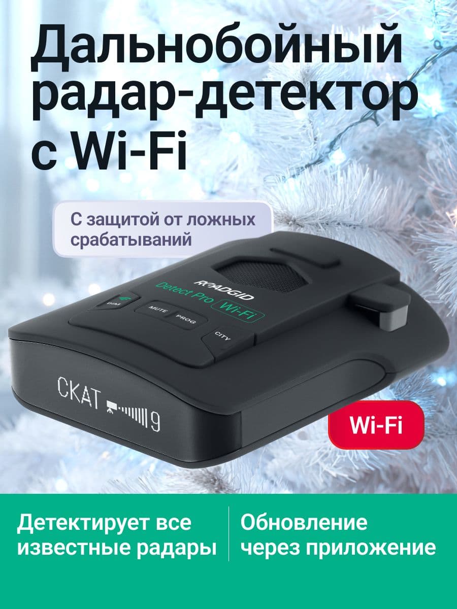 Roadgid Detect Pro